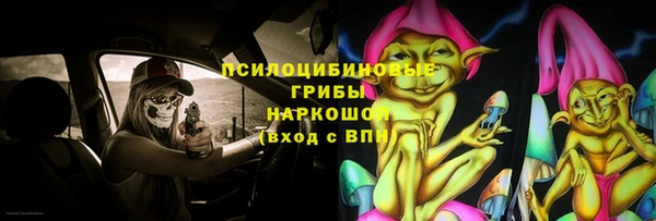 спиды Гусь-Хрустальный