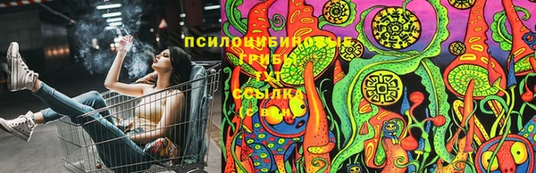 спиды Гусь-Хрустальный