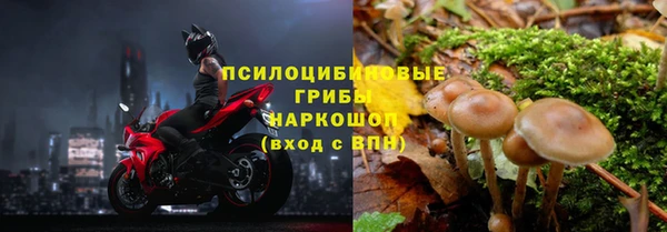 соль курить ск Дмитриев